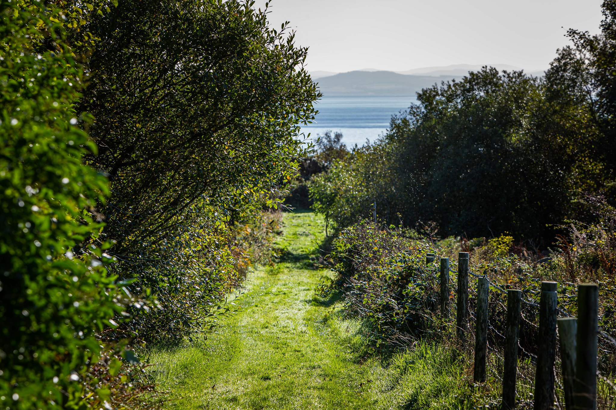 path view to sea Ashlea Magic (Red Squirrel Cottage), Kings Cross, Whiting Bay