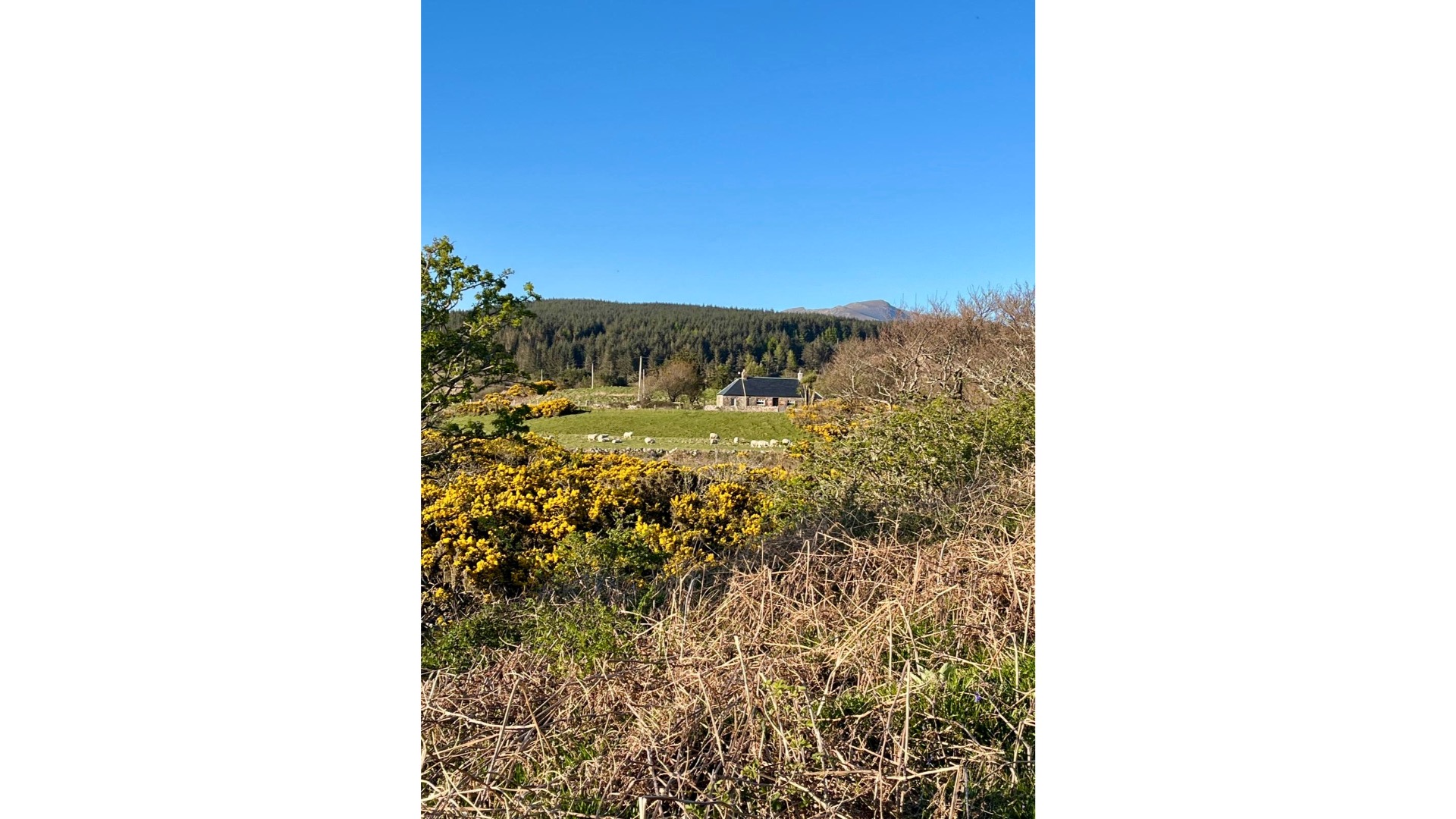 FrontFarCottage Riverside Cottage, Machrie